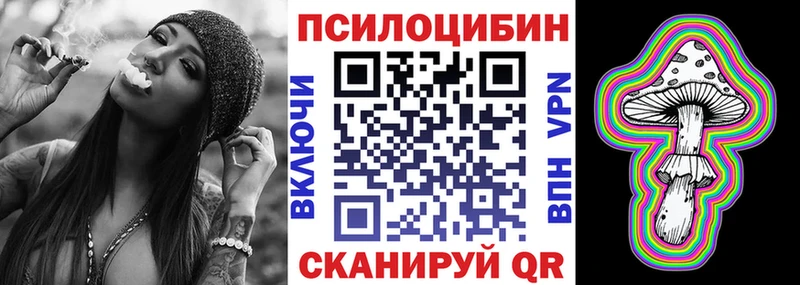 Купить закладки Дивногорск Галлюциногенные грибы Psilocybine cubensis